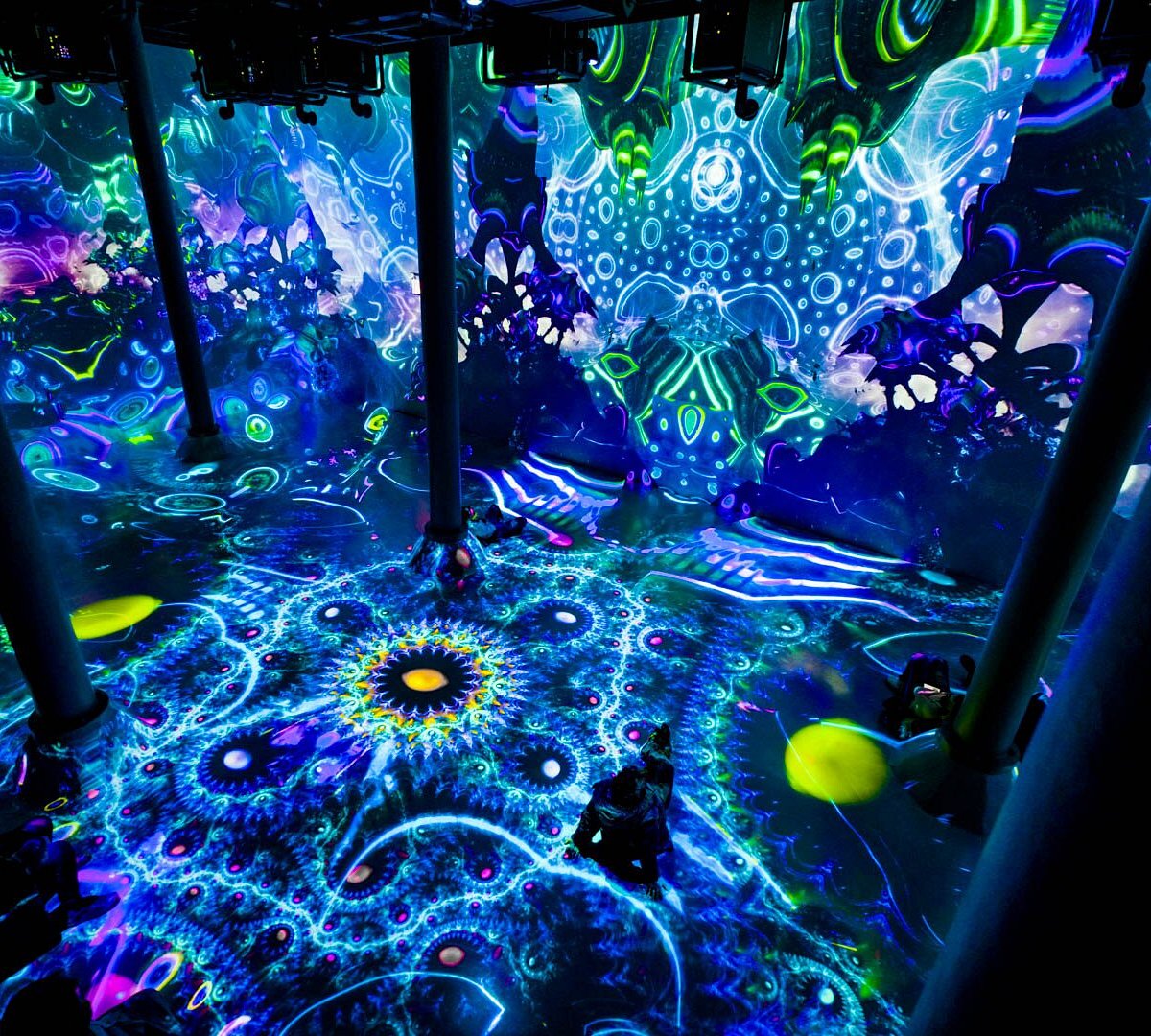 Artechouse NYC (New York) : 2022 Ce qu'il faut savoir pour votre visite