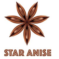 Our Shop Logo, Designed and Named after a spice called Star Aniseed. Be sure to keep a look out for this Logo when looking for our restaurant is a top floor restaurant so entrance maybe easy to miss.