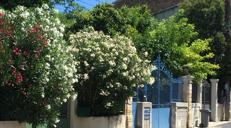 Soyez les bienvenus au 15 rue des Jardins à Pouzols.