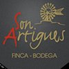 BodegaSonArtigues
