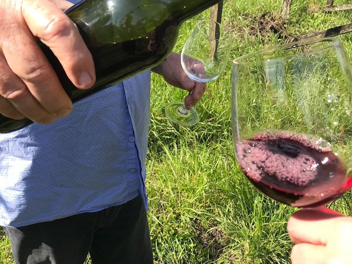 Ravanello Garden Tasting - Wine Locals