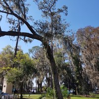 Kraft Azalea Gardens (Winter Park) - All You Need to Know BEFORE You Go