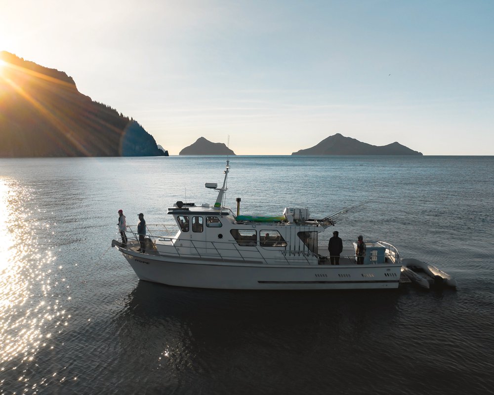 THE 10 BEST Seward Fishing Charters & Tours (Updated 2023)