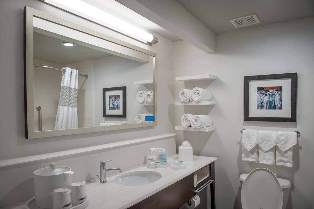 Hotel photo 53 of Hampton Inn & Suites New Orleans-Convention Center.