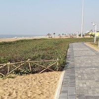 Plantation & Jogging track