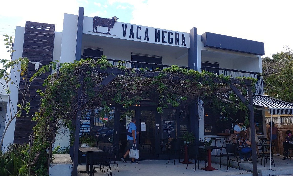 vaca negra tour