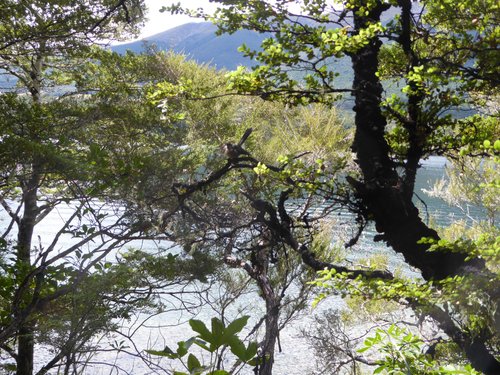 Nelson-Tasman Region kiwitripper64 review images