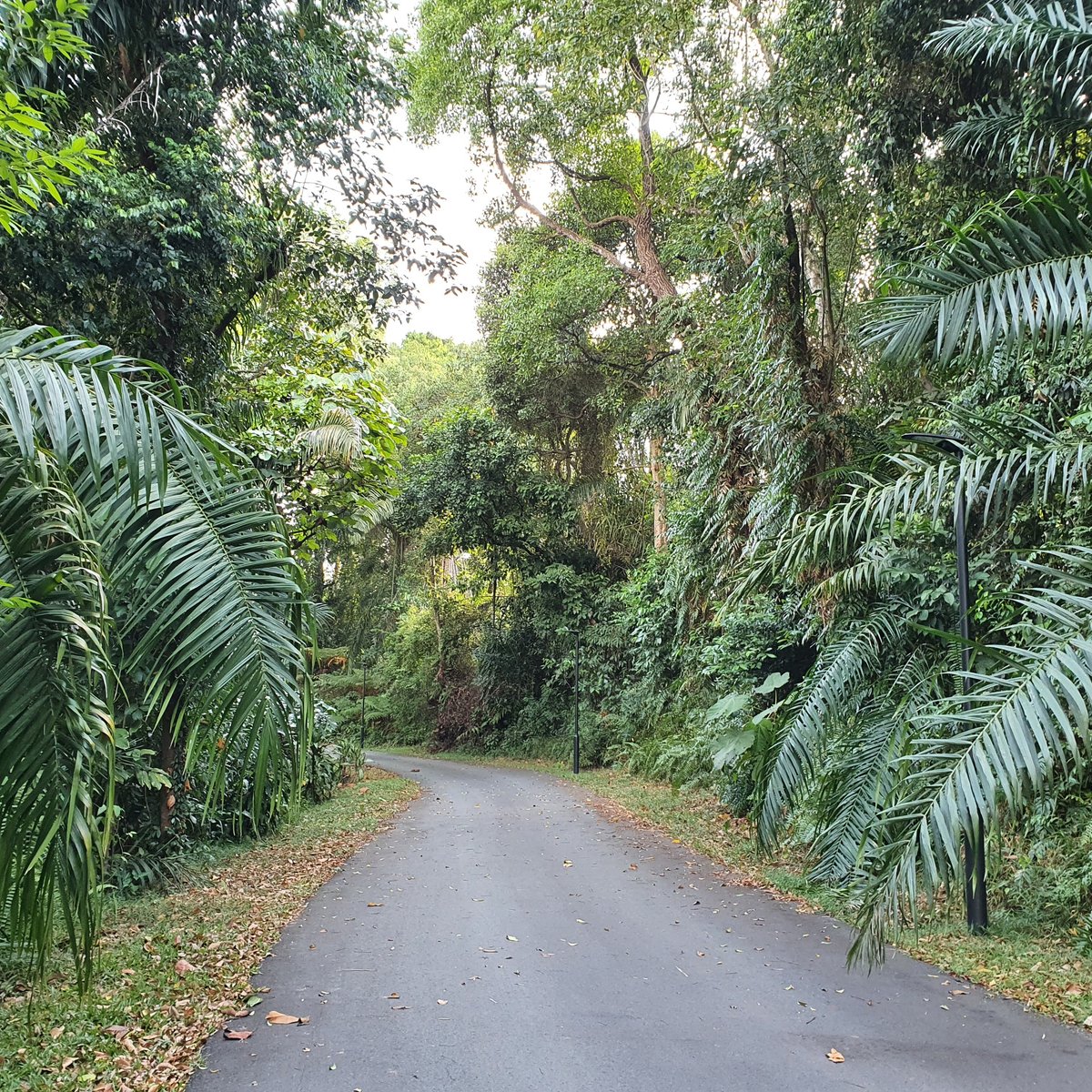 Malcolm Road (Singapore): All You Need to Know BEFORE You Go