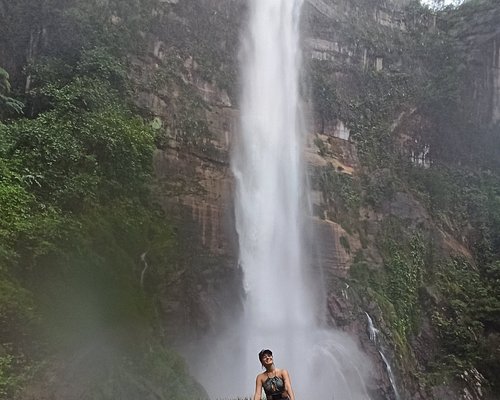 Bom dia Cuiabá!: AGOSTO- Com muito gosto