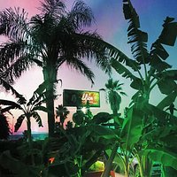 the place