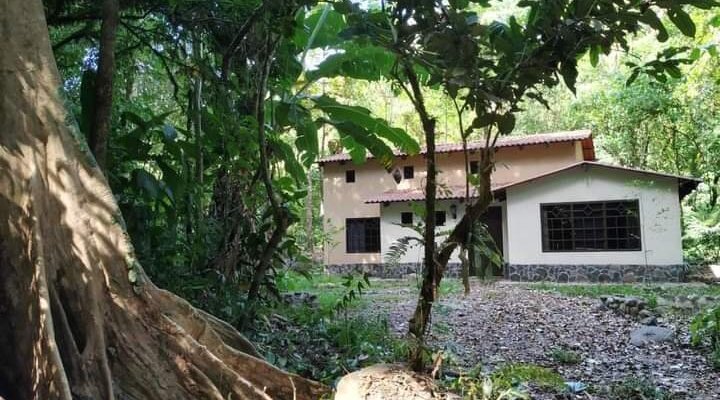 Family Rental house in primary forest San Carlos