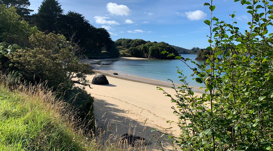 Bay in Stewart Island