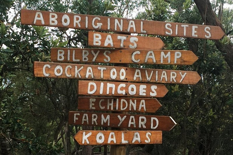 Where to find bilbies in Australia Walkabout Wildlife Park Calga NSW