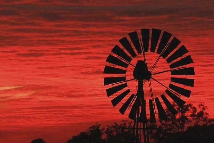 Things to do this Easter in QLD Roma's Easter in the Country Festival