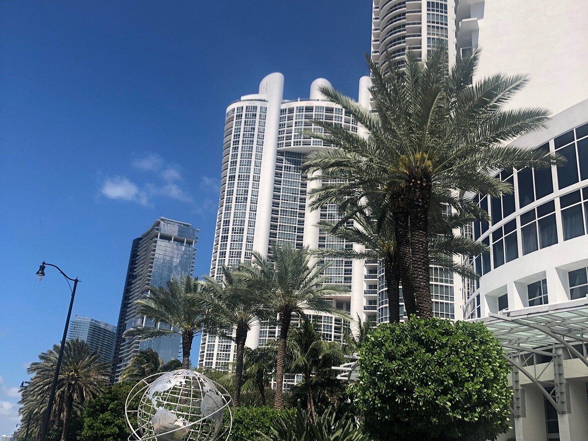 Sunny Isles Beach Water Sports, Санни-Айлс-Бич: лучшие советы перед  посещением - Tripadvisor