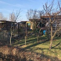 Grüne Aue Glauchau e.V. je pekná komunitná záhrada
