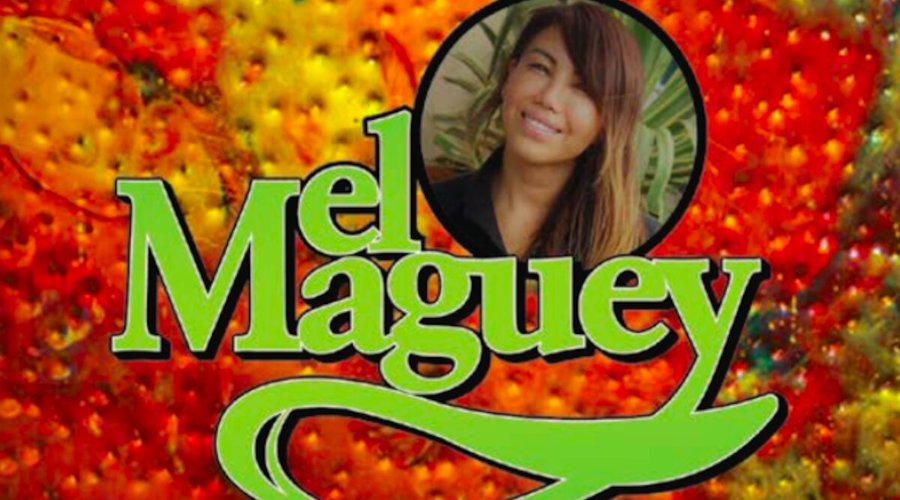 El Maguey Mexican Restaurant - Bowling Green