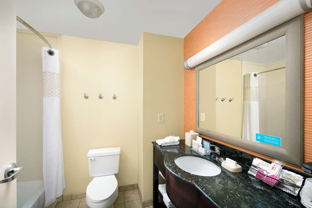 Hotel photo 12 of Hampton Inn Lenoir City.