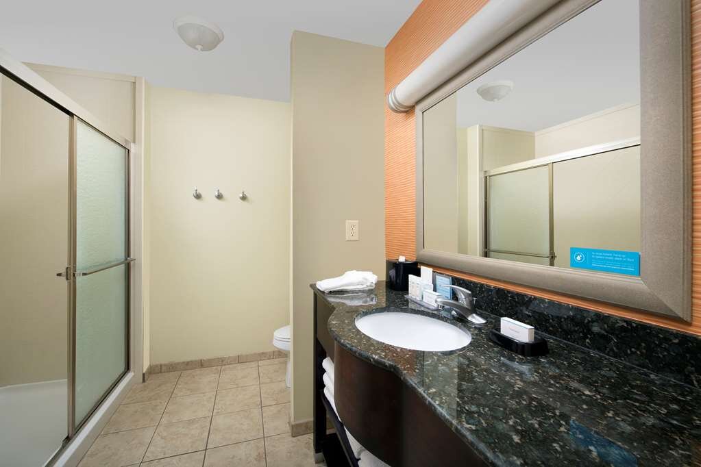 Hotel photo 14 of Hampton Inn Lenoir City.