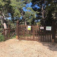 L’Ingresso .....