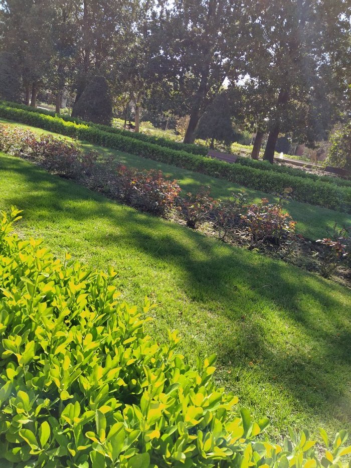 Imagen 6 de Parque de Los Campos Elíseos de Lérida