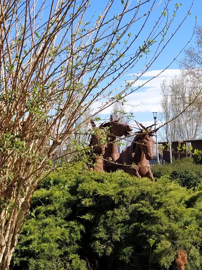 Imagen 4 de Parque de Los Campos Elíseos de Lérida