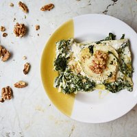 Lasagna Spinacella