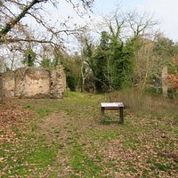 La radura con i resti della chiesa