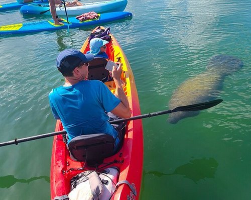 THE 10 BEST Florida Kayaking & Canoeing Activities (Updated 2024)