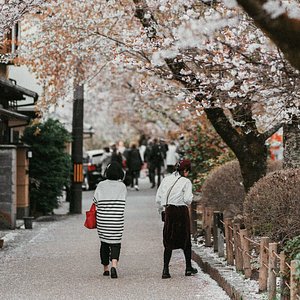 about tokyo tourism