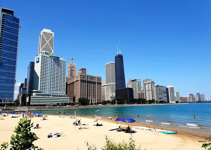 All 77 of Chicago's neighborhoods serve as inspiration for the