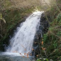 GLENO WATERFALL (Larne) - All You Need to Know BEFORE You Go