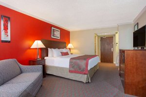 Room & Suite