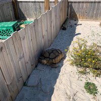 Navarre Beach Sea Turtle Conservation Center - All You Need to Know ...