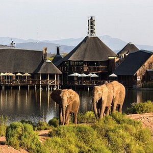 best luxury safari lodge south africa