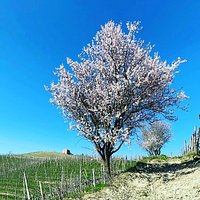 Primavera 2021 in arrivo