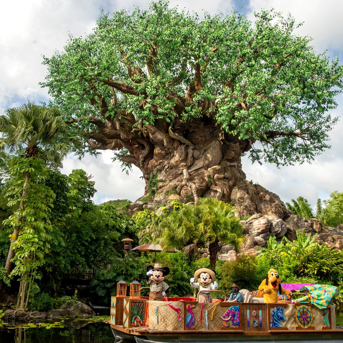 Disney's Animal Kingdom Theme Park (2025) - All You Need to Know BEFORE ...