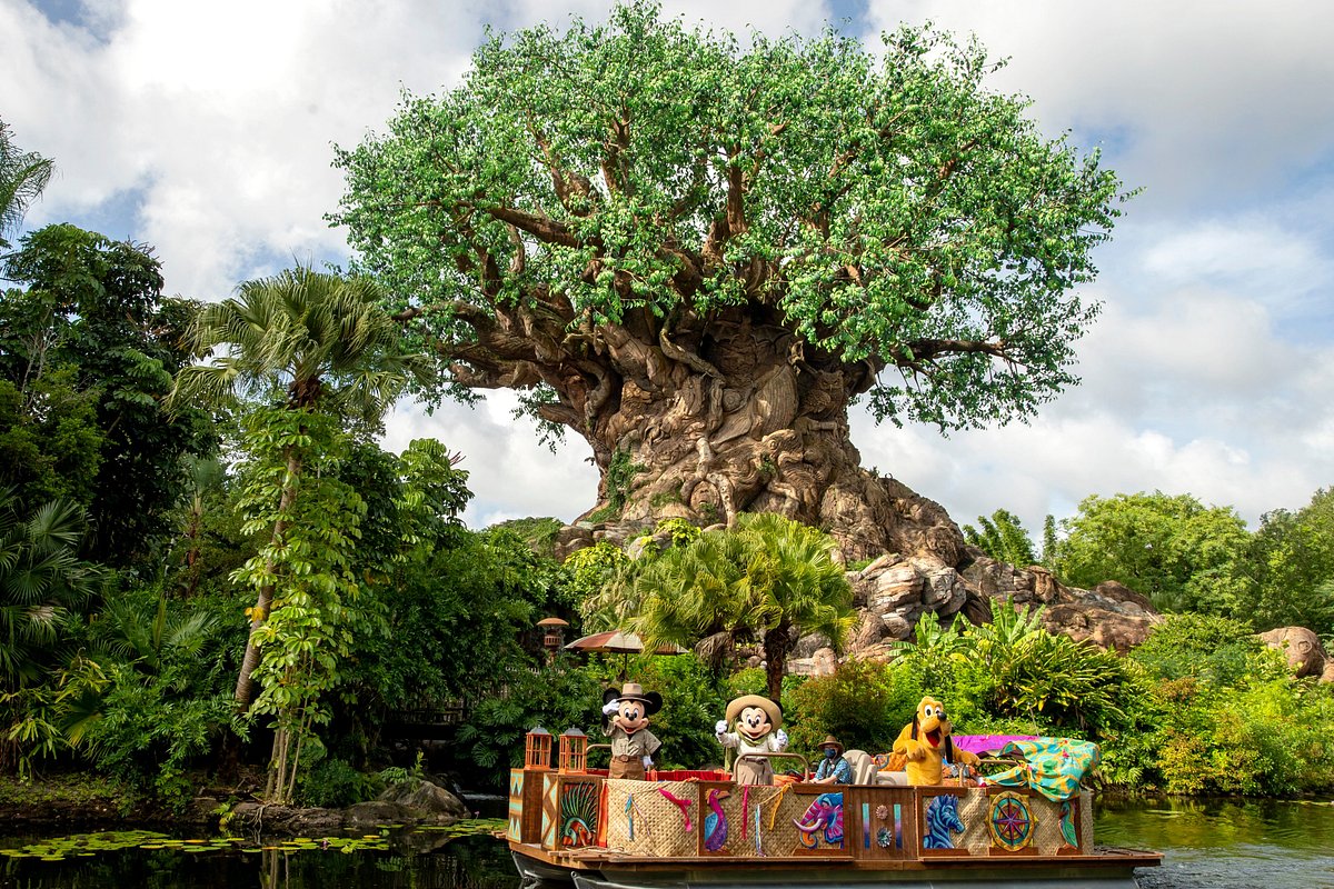 Disney'S Animal Kingdom Theme Park: All You Need To Know Before You Go  (2023)