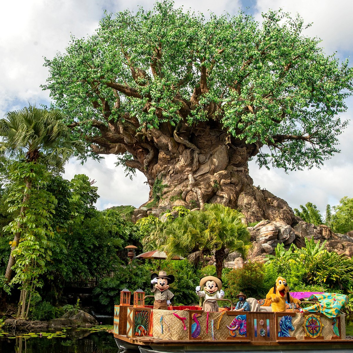 disney florida animal kingdom safari