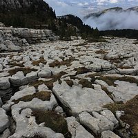 Lapiaz du plateau du Parmelan