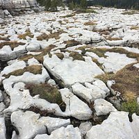 Lapiaz du plateau du Parmelan