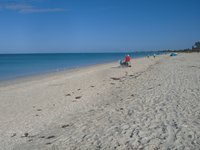 Nokomis Beach 2021 What To Know Before You Go With Photos Tripadvisor