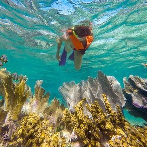 National Reef Park of Puerto Morelos - 2021 All You Need to Know Before ...