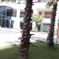 Tuzla Port Avm