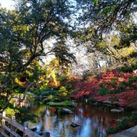 Fort Worth Japanese Garden - All You Need to Know BEFORE You Go