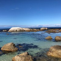 Sea swimming at its best