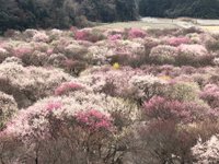 21年 いなべ市農業公園 行く前に 見どころをチェック トリップアドバイザー