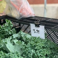 Delicious Kale from Small Farm at the Hudson MA Farmers' Market.