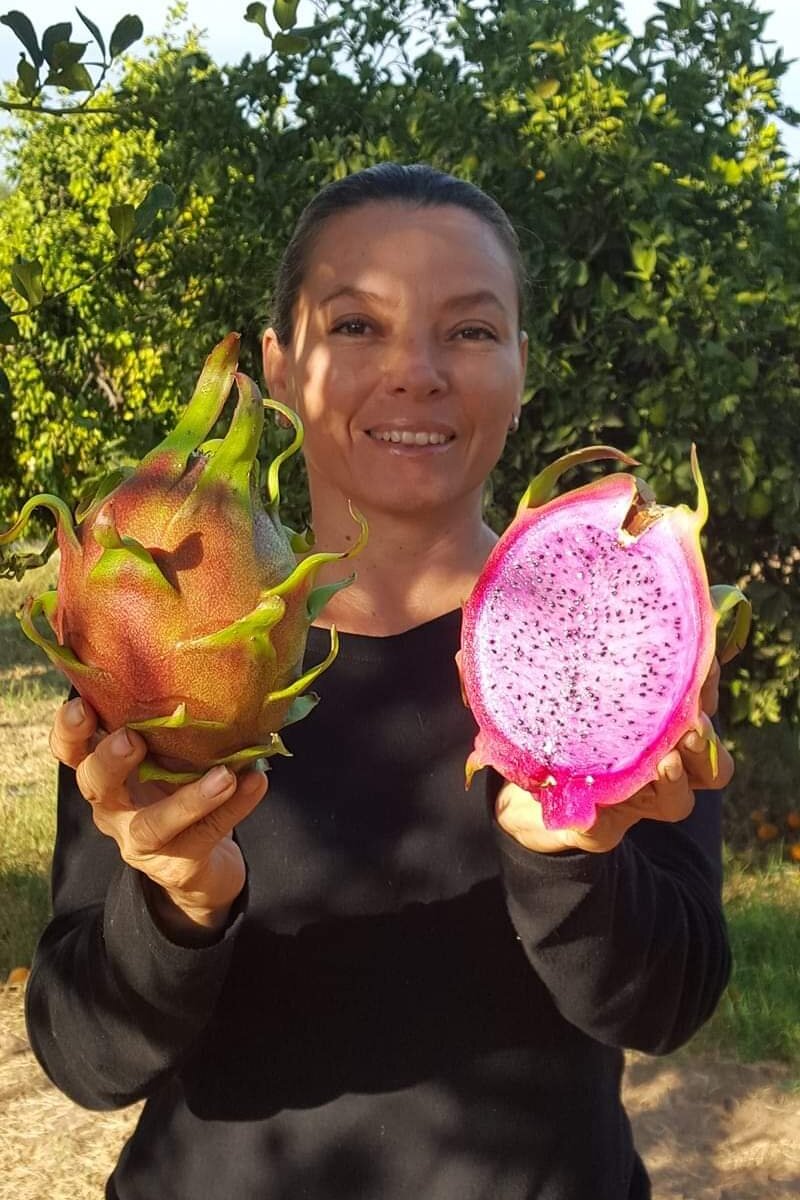 DRAGON FRUIT FARM RANCHO PITAHAYA (Guaymas) Ce qu'il faut savoir