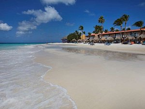 Tamarijn Aruba All Inclusive in Aruba, image may contain: Sea, Nature, Outdoors, Beach